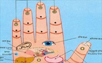 Ấn 5 đầu ngón tay tự kiểm tra sức khỏe các cơ quan nội tạng