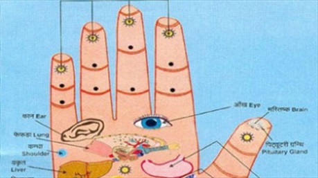 Ấn 5 đầu ngón tay tự kiểm tra sức khỏe các cơ quan nội tạng