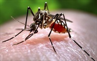 Phát hiện trường hợp nhiễm Zika đầu tiên tại Lào, Philippines