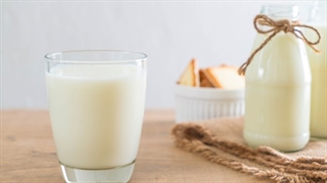Lý do cơ thể cảm thấy khó chịu khi uống sữa là gì?
