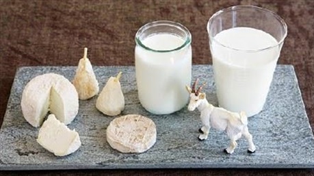 Sữa dê - nguồn dinh dưỡng diệu kỳ