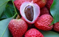 Những loại trái cây hạn chế ăn trong ngày nắng nóng