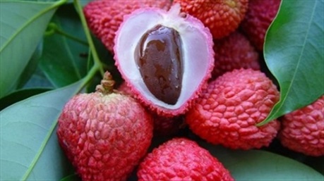 Những loại trái cây hạn chế ăn trong ngày nắng nóng