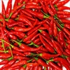 Những cách giảm cay ngay lập tức khi ăn ớt