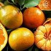 5 loại trái cây người đau dạ dày nên tránh