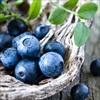 3 loại trái cây màu xanh tốt cho sức khỏe mà bạn không ngờ tới