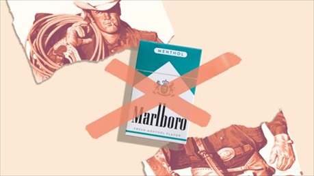 FDA, Mỹ đang tiến hành quy trình cấm thuốc lá bạc hà và xì gà hương liệu