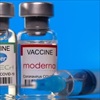 Vaccine COVID-19 mRNA như Pfizer, Moderna giúp giảm khả năng phát tán virus