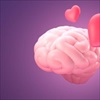 Đây là điều xảy ra trong não bộ khi bạn đang yêu