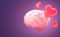 Đây là điều xảy ra trong não bộ khi bạn đang yêu